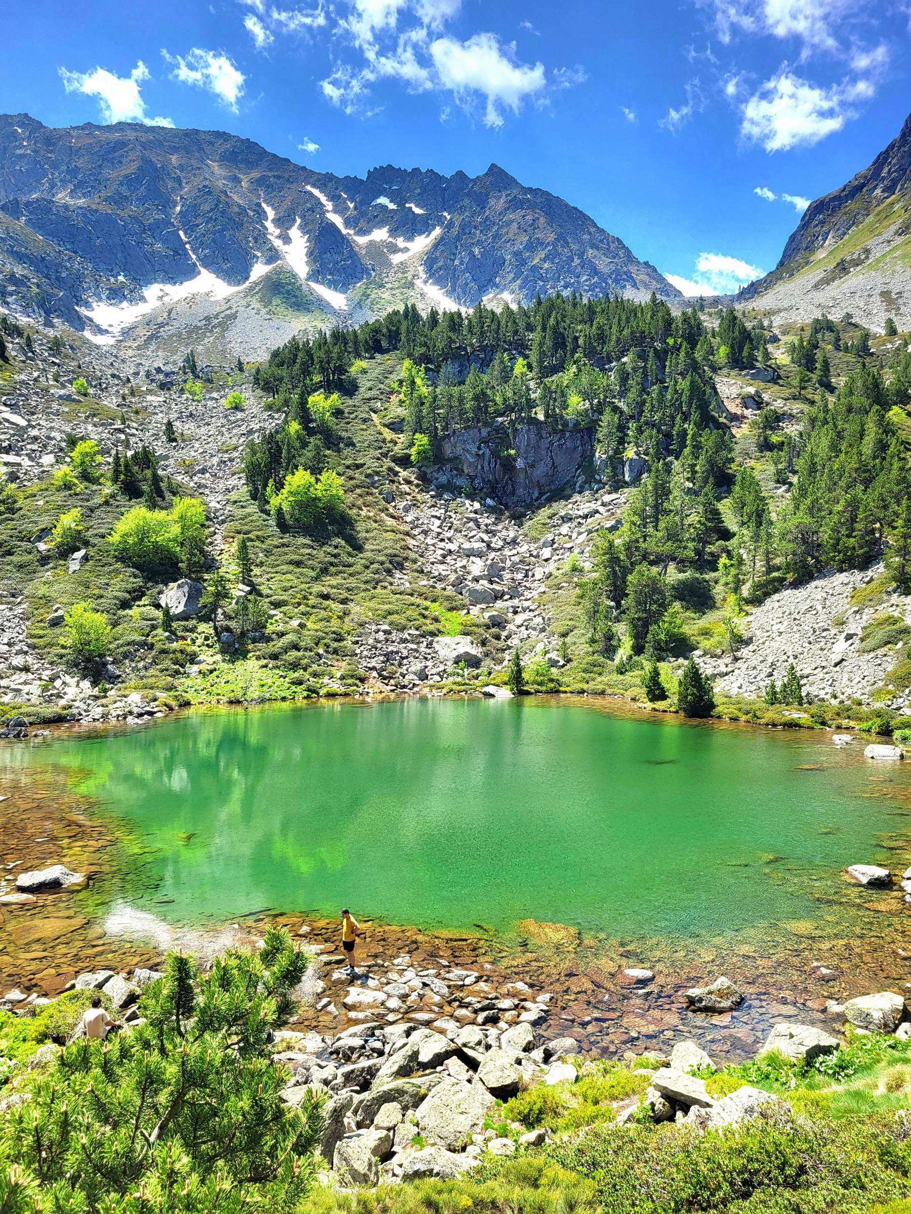 Forêts et sommets de la vallée de Mérens