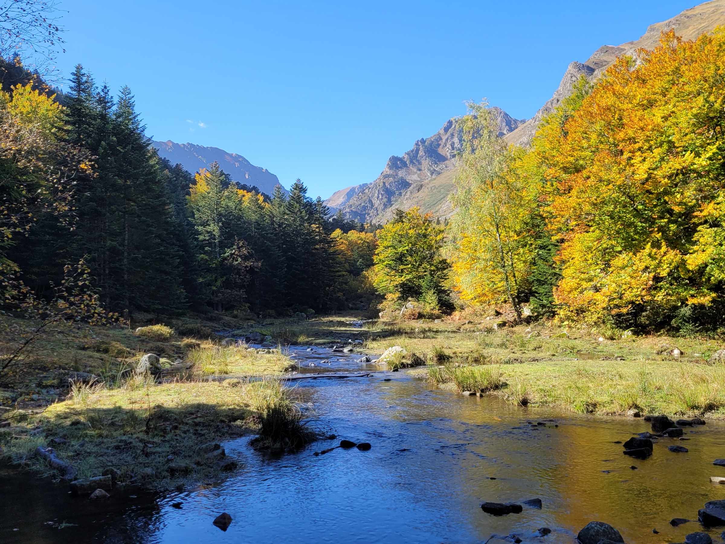 La rivière de la vallée de Mérens en automne, entre forêts et sommets
