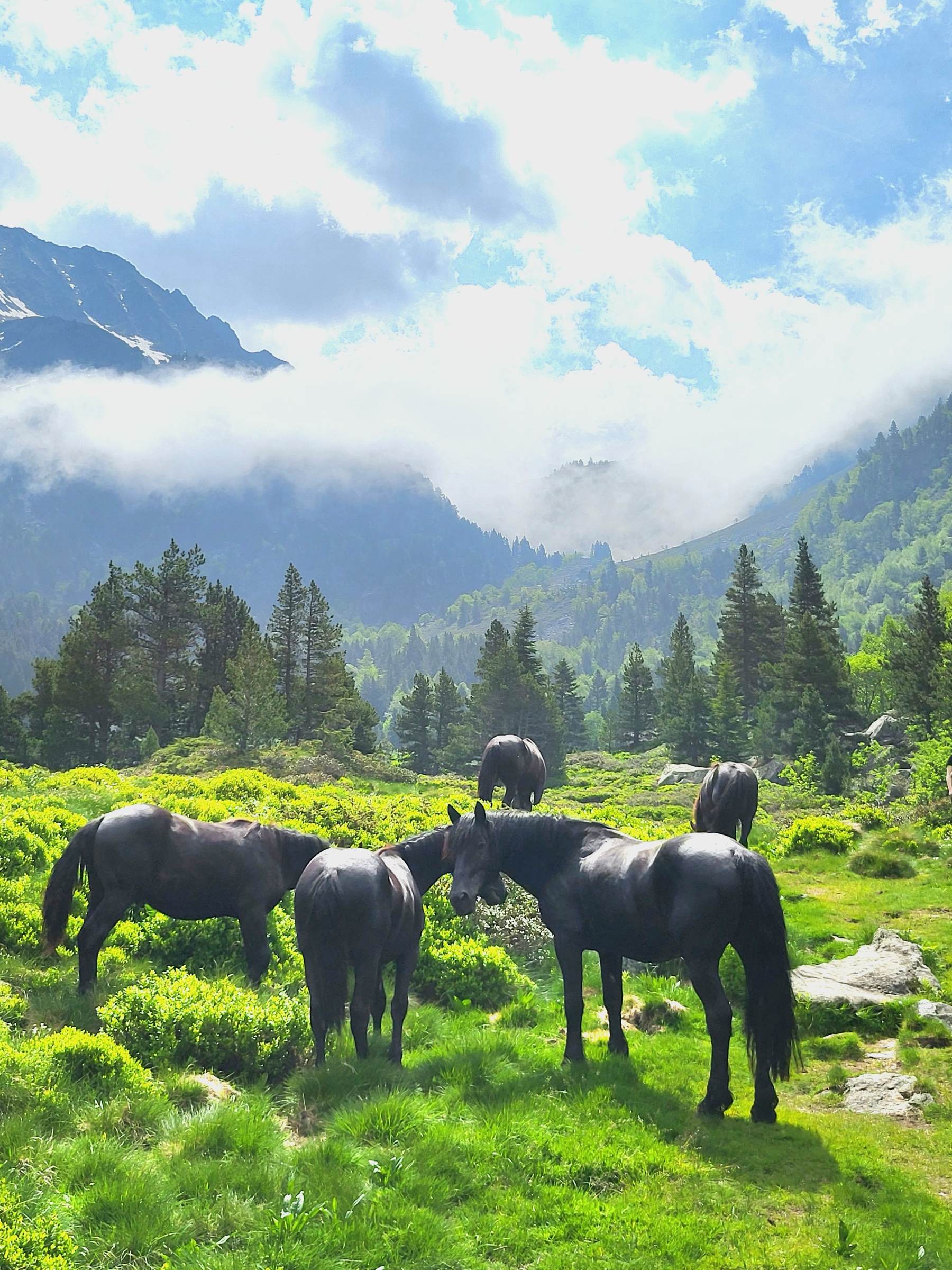 Sommets de la vallée de Mérens